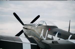 P-51 D Mustang   472216