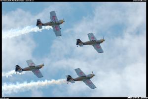 The Flying Bulls Aerobatics Team - ZLIN 50 LX