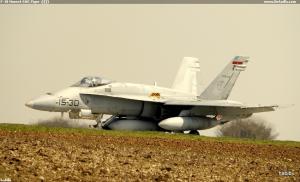 F-18 Hornet SAF,Tiger ;))))