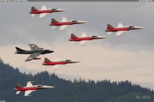 Patrouille Suisse and Hawker Hunter.