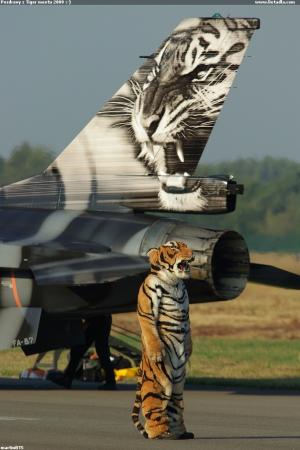 Pozdravy z Tiger meetu 2009 :-)