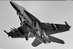 Boeing F/A-18F  Super Hornet