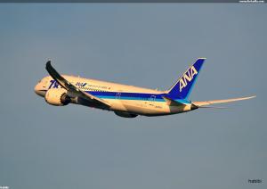 JA805A / ANA - B-787